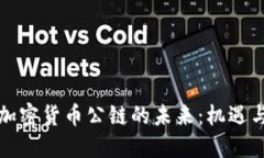 央行加密货币公链的未来：机遇与挑战