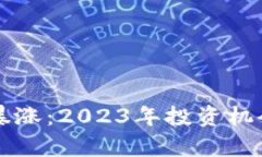 新加密货币暴涨：2023年投资机会与风险分析