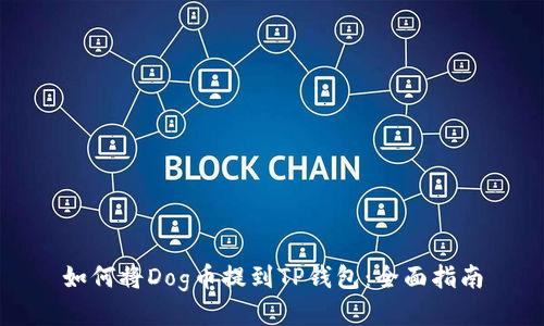 如何将Dog币提到TP钱包：全面指南