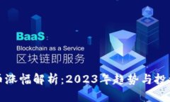 狗狗币涨幅解析：2023年趋势与投资前景