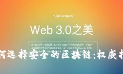 如何选择安全的区块链：权威指南